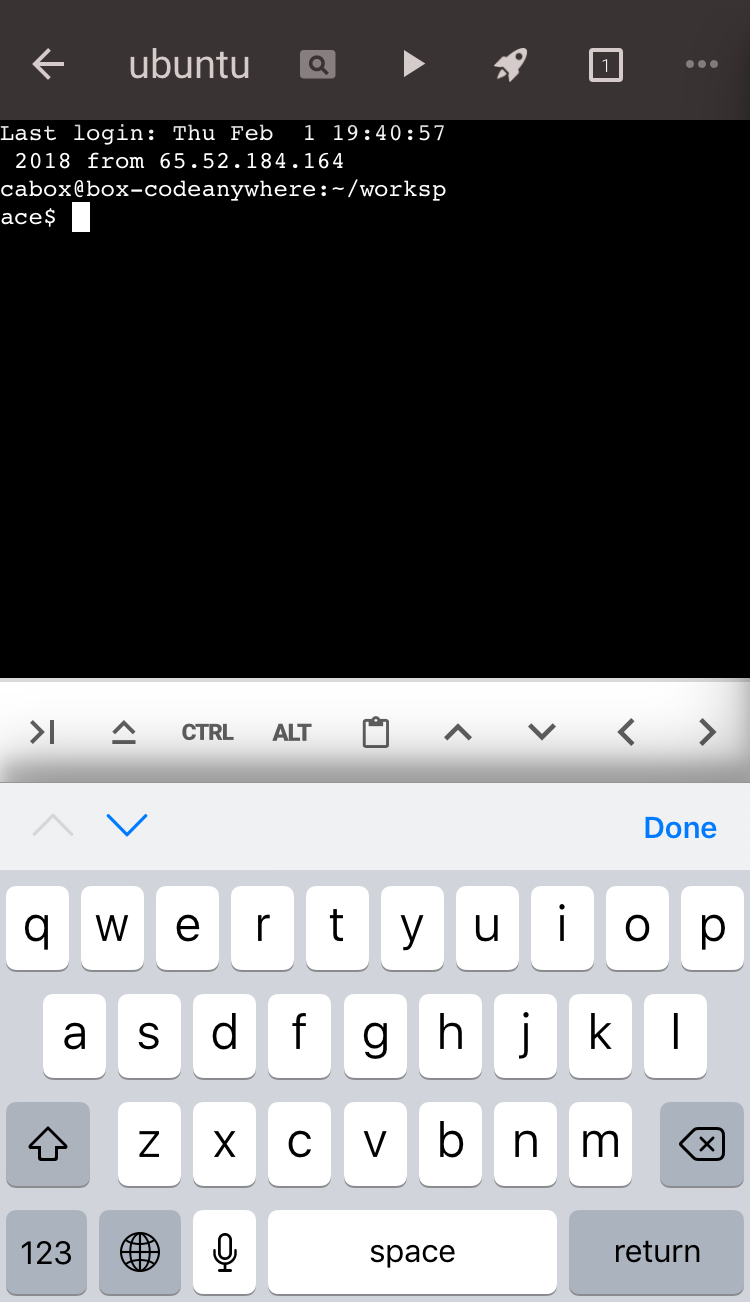 iOS版CodeanywhereのSSHターミナル起動画面、ubuntuコンテナのプロンプト表示