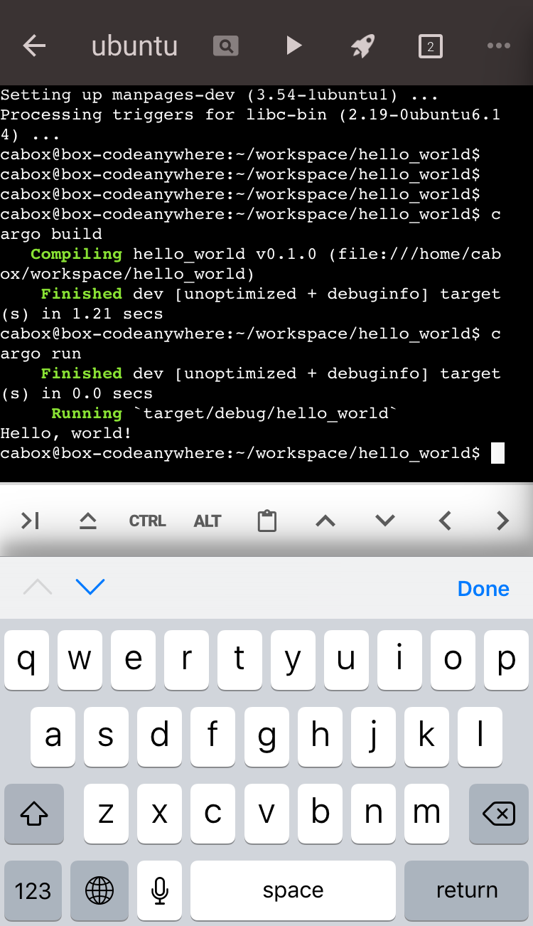Codeanywhereのiosアプリ端末でcargo runが成功しHello, world!を出力